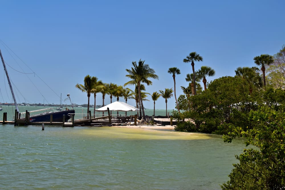 Palm-lined waterfront in Sarasota, Florida